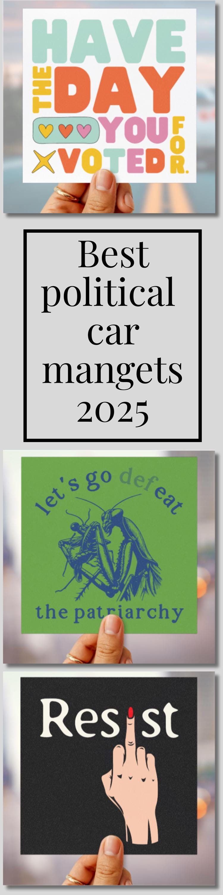 Anti MAGA car magnet anti Trump bumper sticker FDT car magnet leopards eating faces decal political gift idea funny feminist magnet resist