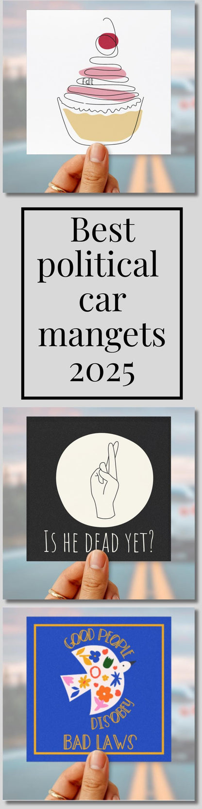 Subtle  anti Trump car magnet FDT bumper sticker political car decal feminist gift political car magnet funny anti Trump gift idea resist