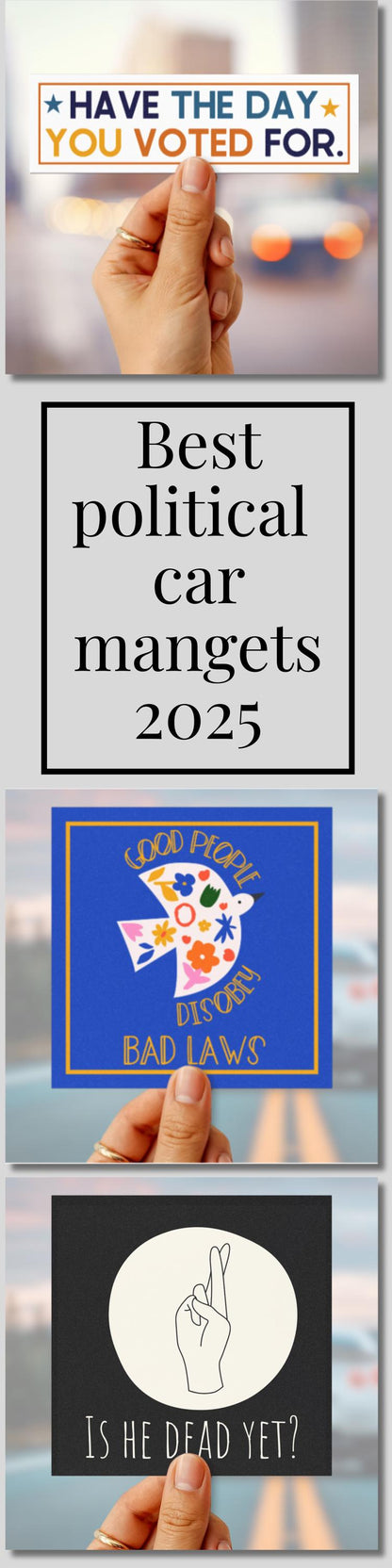 Funny anti Trump car magnet FDT bumper sticker anti oligarchy magnet anti fascism gift idea smash the patriarchy car magnet feminist gift