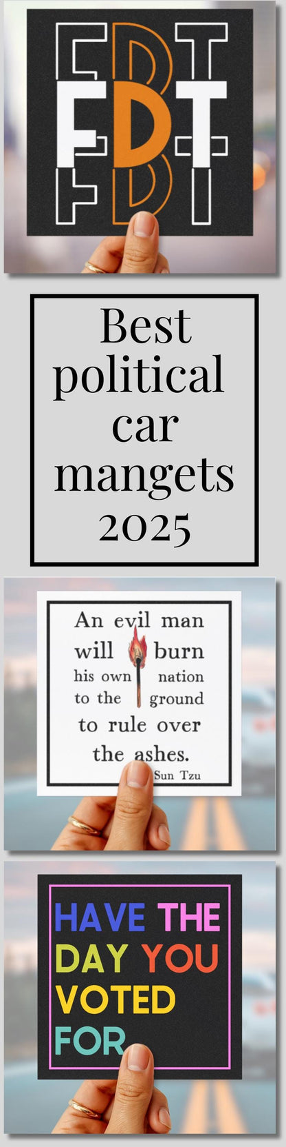 FDT car magnet subtle anti Trump bumper sticker political car decal funny political gift idea feminist car magnet political car decal resist