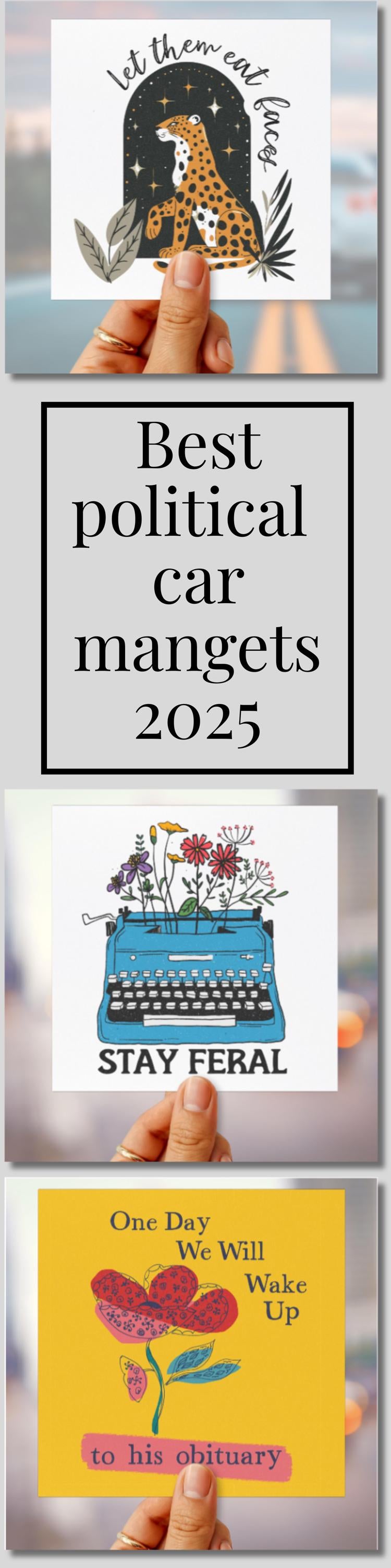 FAFO anti Trump car magnet leopards eating faces party bumper sticker anti MAGA car magnet funny political gift subtle anti Trump magnet