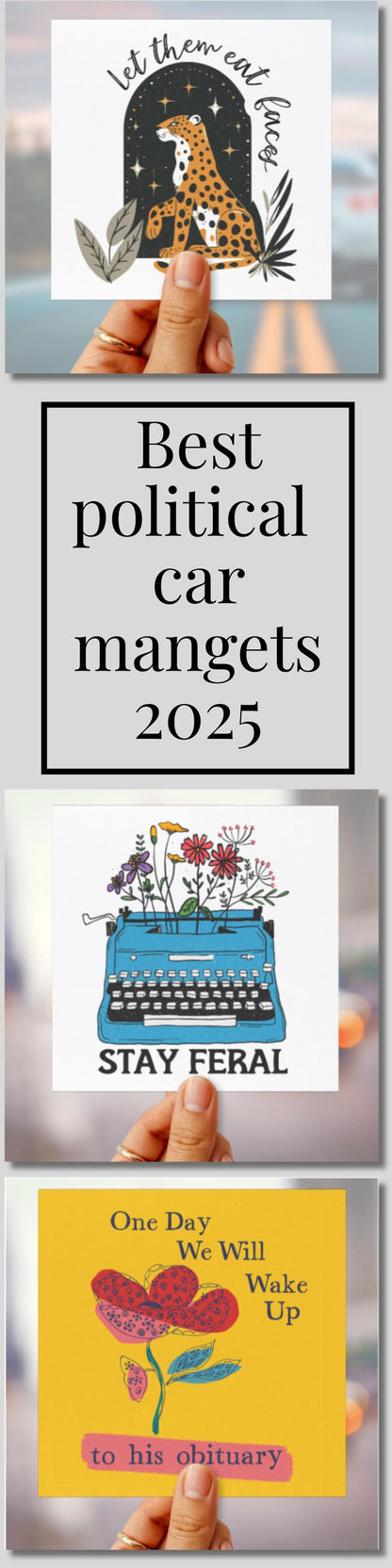 FAFO anti Trump car magnet leopards eating faces party bumper sticker anti MAGA car magnet funny political gift subtle anti Trump magnet