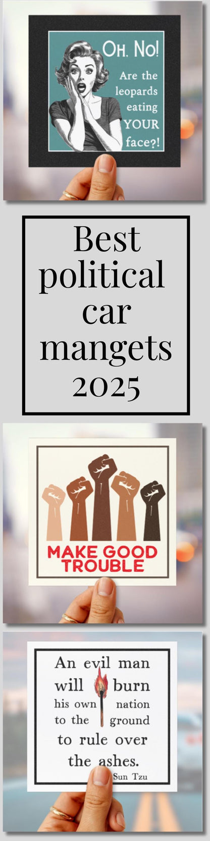 FAFO anti Trump car magnet leopards eating faces bumper sticker anti MAGA car decal resist fascism car magnet funny political gift idea