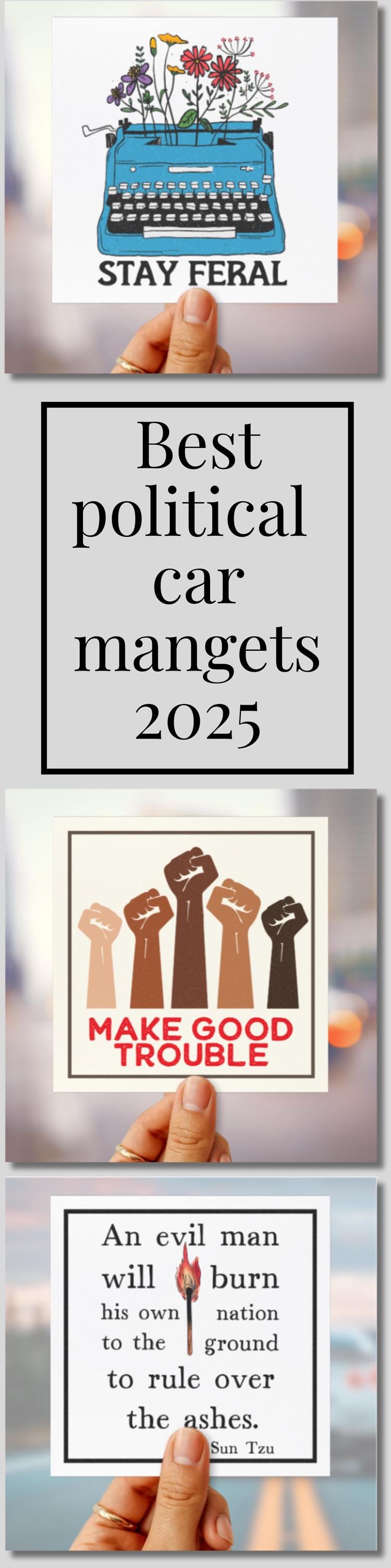 Stay feral car magnet feminist bumper sticker book lover magnet library womens rights gift idea f*ck the patriarchy car magnet f*ck trump