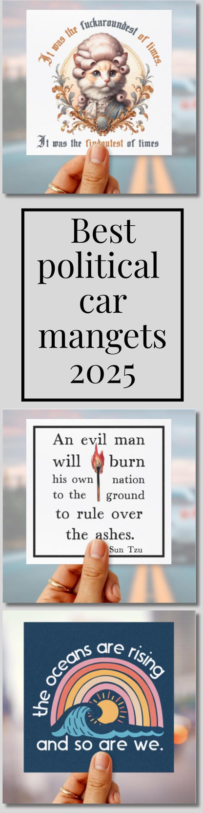 FAFO car magnet subtle anti Trump bumper sticker FDT car decal leopards eating faces party car magnet funny f*ck Trump gift hands off decal