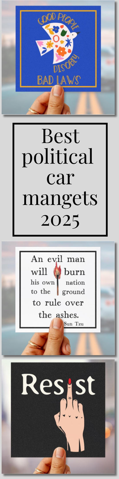 Anti fascism car magnet anti war bumper sticker Anti Trump gift free Palestine decal gift idea resist car magnet pro free speech car decal