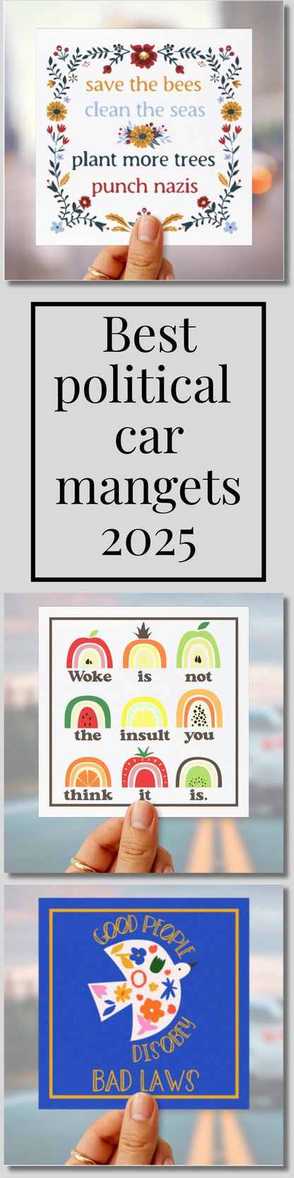 Anti fascism car magnet punch nazis bumper sticker FDT magnet anti nazi hidden message sticker anti Trump magnet political gift idea resist