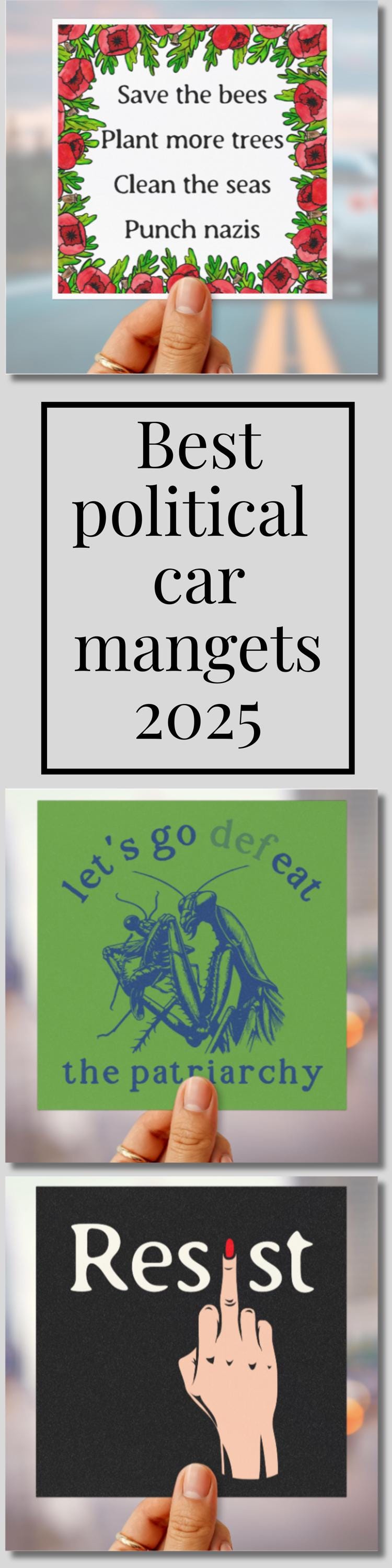 Anti Nazi car magnet anti Trump bumper sticker climate activist gift idea environmentalist car decal car magnet resist sticker hands off