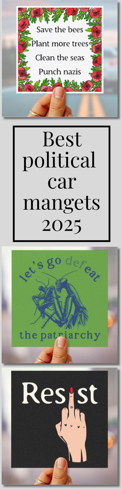 Anti Nazi car magnet anti Trump bumper sticker climate activist gift idea environmentalist car decal car magnet resist sticker hands off