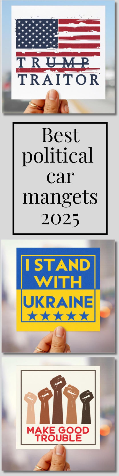 Trump traitor car magnet anti Trump bumper sticker FDT anti republican car magnet anti MAGA car decal never trumper gift idea pro democracy