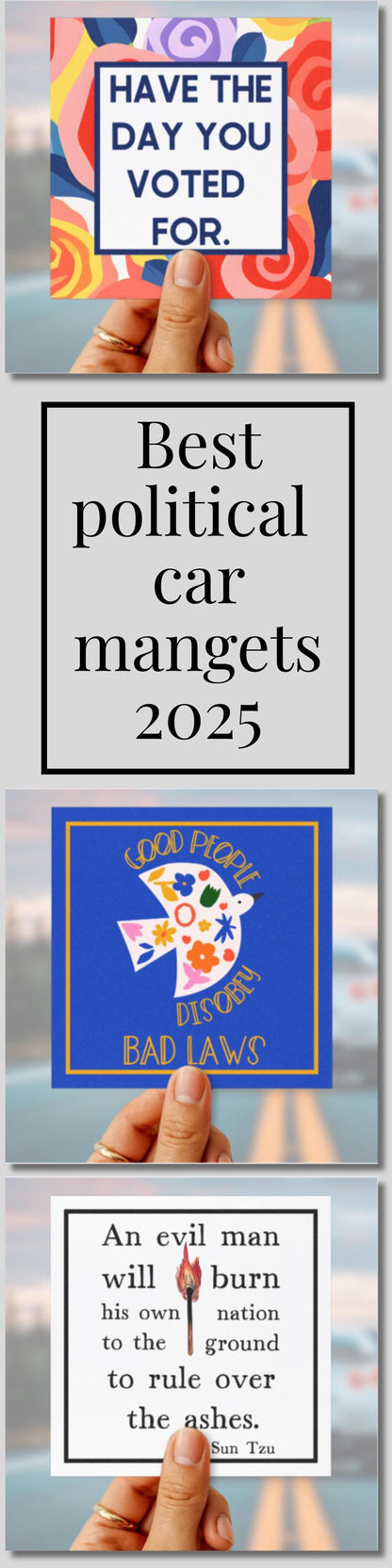 Anti Trump car magnet FDT bumper sticker subtle f*ck Trump magnet sarcastic political gift not my president car magnet anti MAGA gift idea