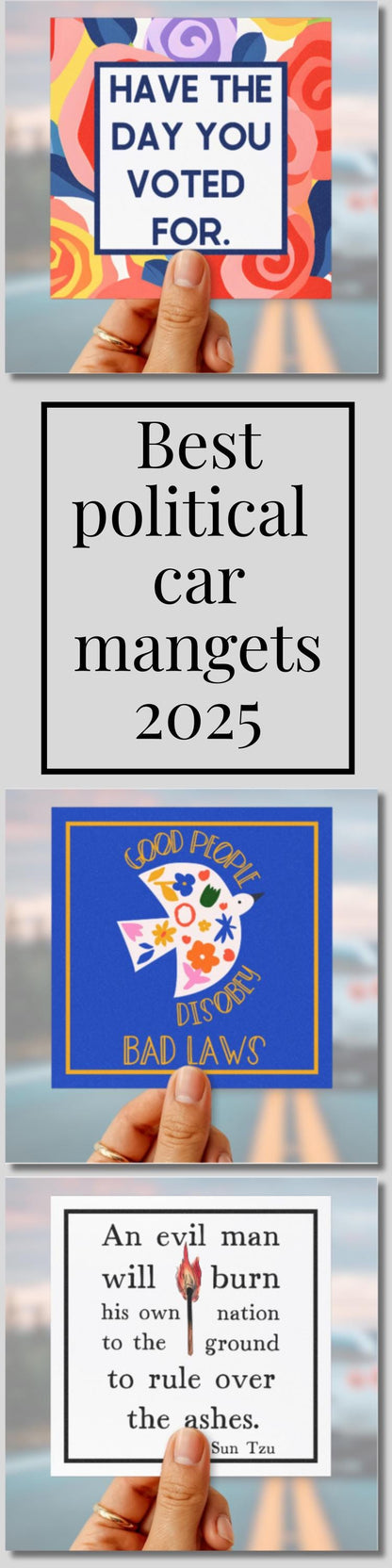 Anti Trump car magnet FDT bumper sticker anti MAGA car decal funny political car magnet 8647 sticker not my president magnet  feminist gift