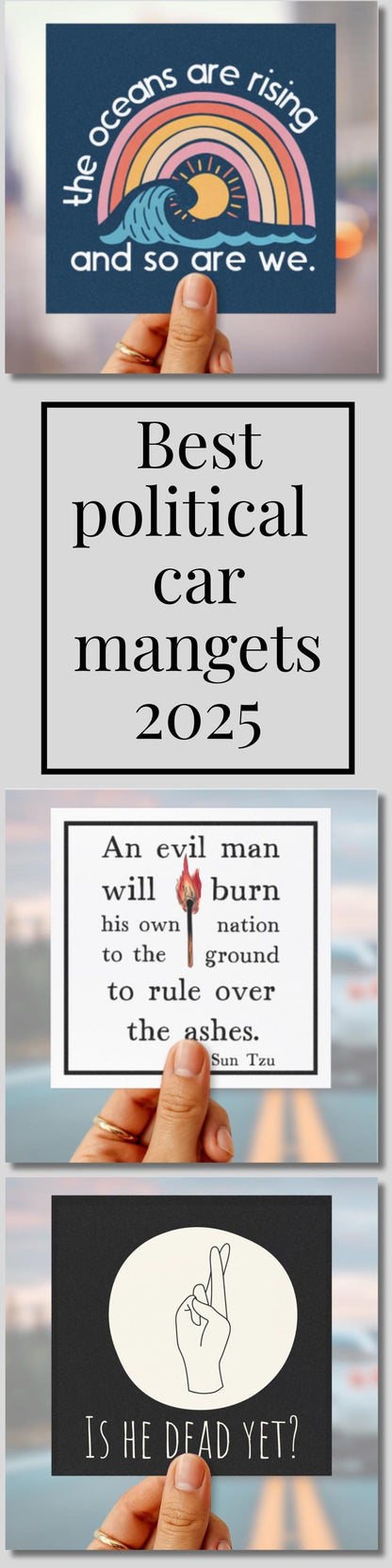 Climate activist car magnet FDT bumper sticker anti Trump car decal resist car magnet hands off protest magnet activist gift idea feminist