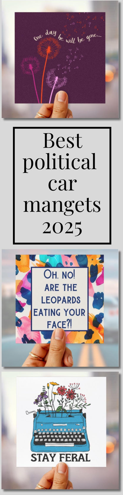 Subtle f*ck Trump car magnet FDT bumper sticker anti Trump political car magnet anti oligarchy car decal resist magnet feminist gift idea