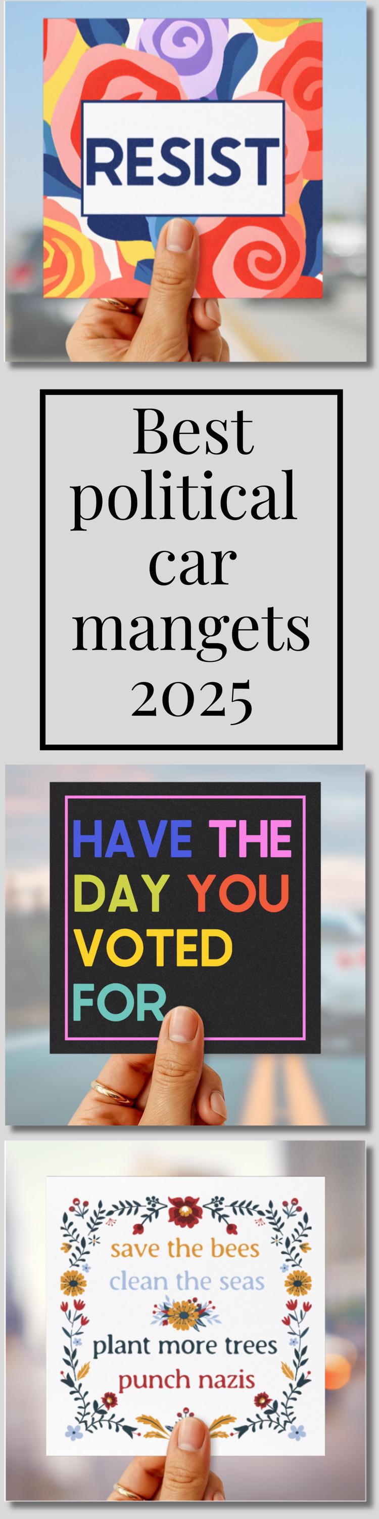 Resist car magnet anti fascism bumper sticker FDT gift idea pro democracy car magnet subtle anti Trump decal resistance movement car magnet