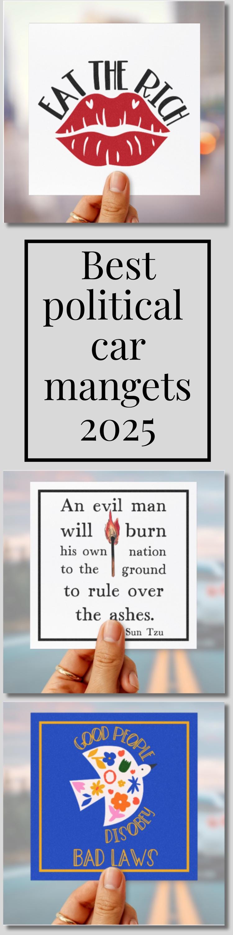 Eat the rich car magnet anti capitalist FDT bumper sticker anti oligarchy car magnet anti Trump car sticker funny socialist gift hands off