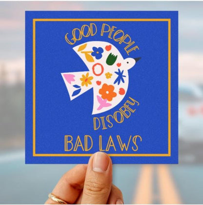 Anti fascism car magnet anti war bumper sticker Anti Trump gift free Palestine decal gift idea resist car magnet pro free speech car decal