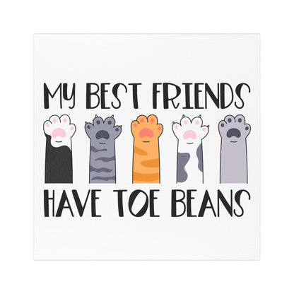 crazy cat lady bumper sticker funny animal lover gift idea