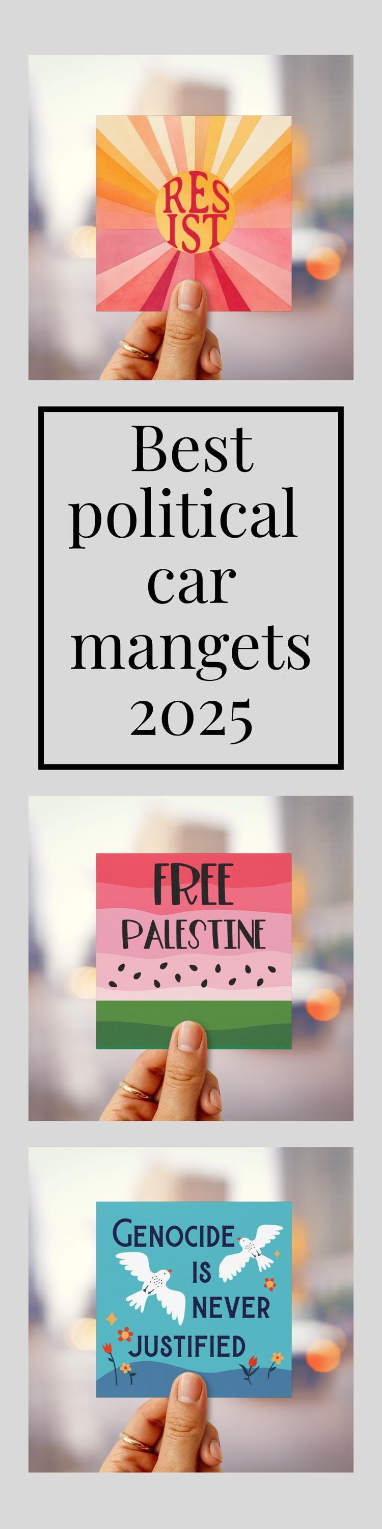 Resist car magnet subtle anti Trump bumper sticker anti fascist magnet pro democracy decal anti oligarchy magnet resist Trump hidden message