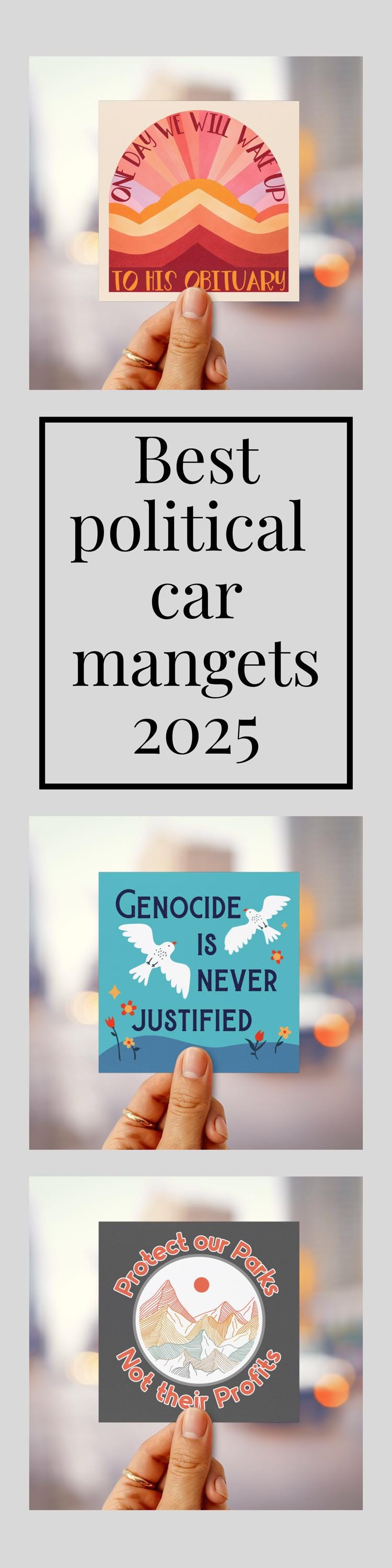 Subtle anti Trump car magnet hidden message bumper sticker foxtrot delta tango magnet TACO  sticker is he dead yet magnet not my president