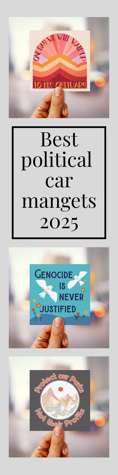 Subtle anti Trump car magnet hidden message bumper sticker foxtrot delta tango magnet TACO  sticker is he dead yet magnet not my president
