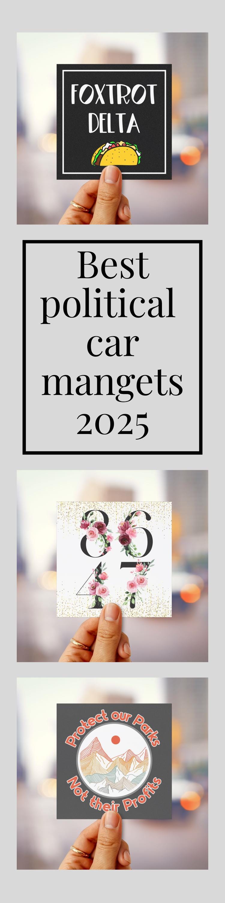 Taco Trump car magnet foxtrot delta tango bumper sticker anti Trump magnet funny political car decal 8647 magnet anti MAGA gift idea resist