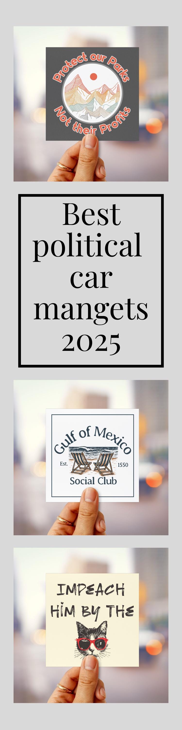 Protect our parks car magnet resist bumper sticker nature lover gift idea subtle anti Trump magnet animal lover car magnet anti fascist gift