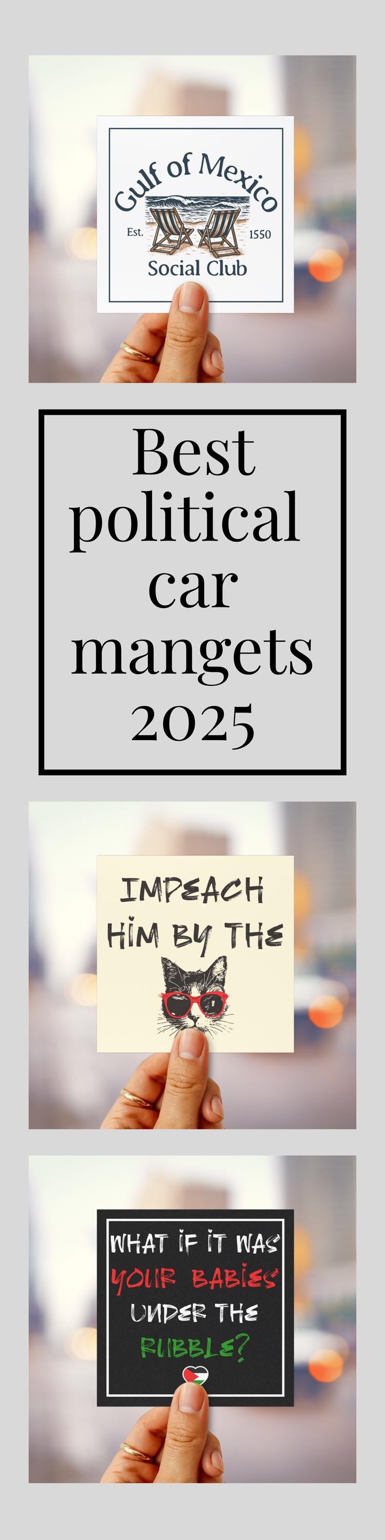 Gulf of Mexico car magnet subtle anti Trump bumper sticker funny political car magnet defend democracy decal no kings magnet anti fascism