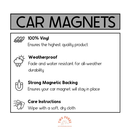 Melt ICE car magnet anti ICE car decal fuck Trump sticker pro immigration gift chinga la migra magnet stop alligator alcatraz merch fuck ICE