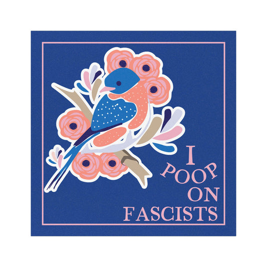 I poop on fascists car magnet funny anti Trump bumper sticker anti fascism merch liberal car magnet pro democracy decal anti MAGA car magnet